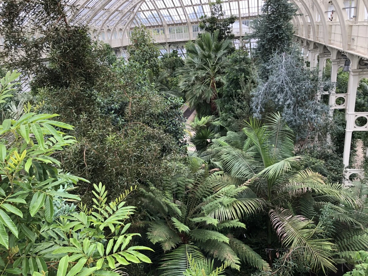 2025-London-Londen-伦敦